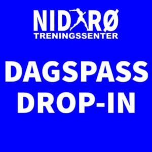 Dagspass dropinn