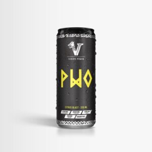 Viking Power PWO - Citrus Blast 330 ml