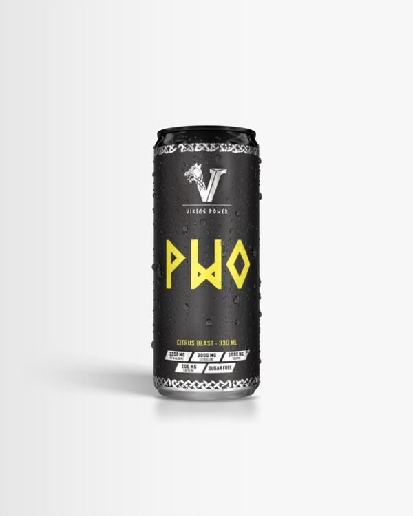 Viking Power PWO - Citrus Blast 330 ml